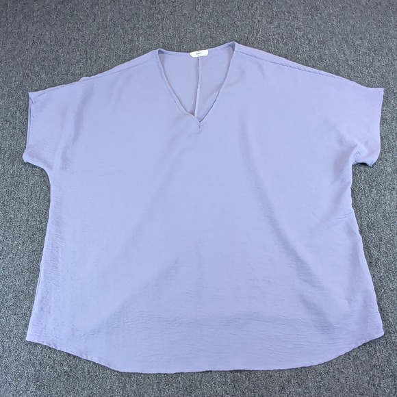 Entro Boho Minimalist V Neck Blouse Womens 1X Lavender Textured Oversized Top — photo 2